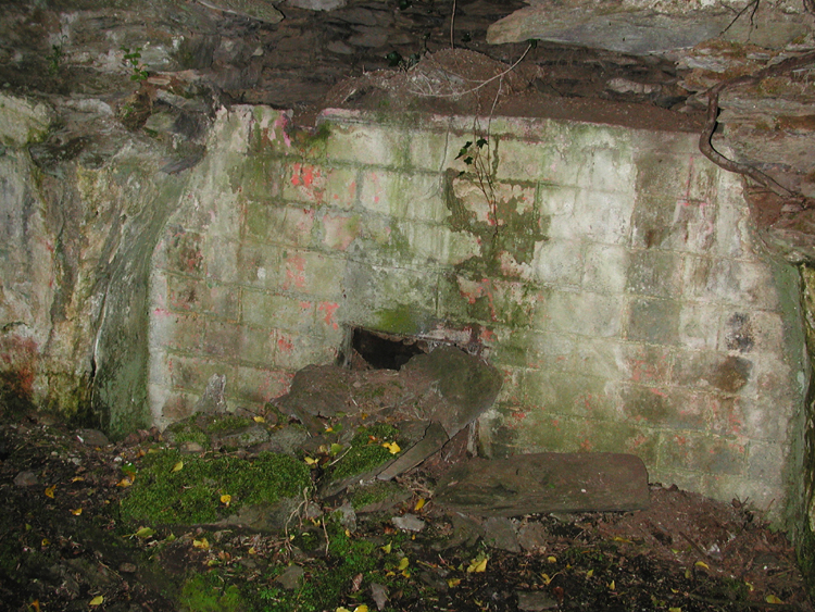 Swanton ruins, Lissicorrane 2.jpg 507.5K